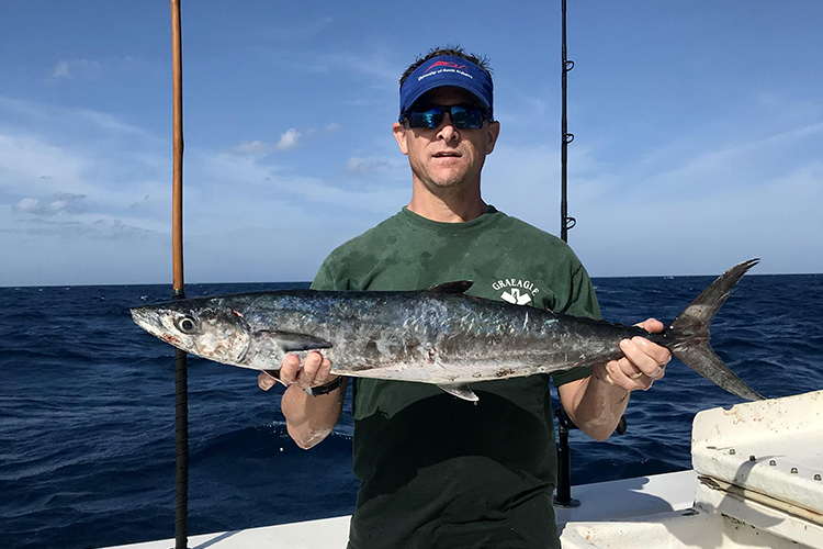 Learn About the Northern Kingfish – Fishing