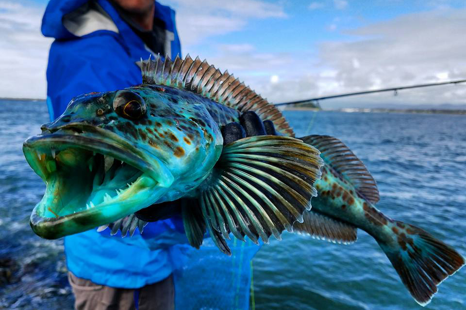 Saltwater Recreational Fisheries Regional Snapshots