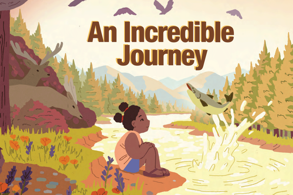 An Incredible Journey, a Children's Book About Salmon