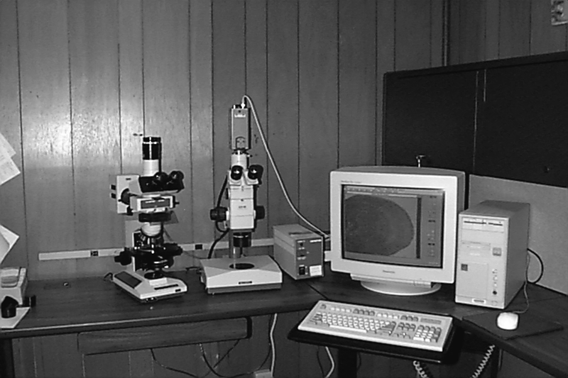 Analyzing Fish Scales Through Microscopy to Determine Aquatic