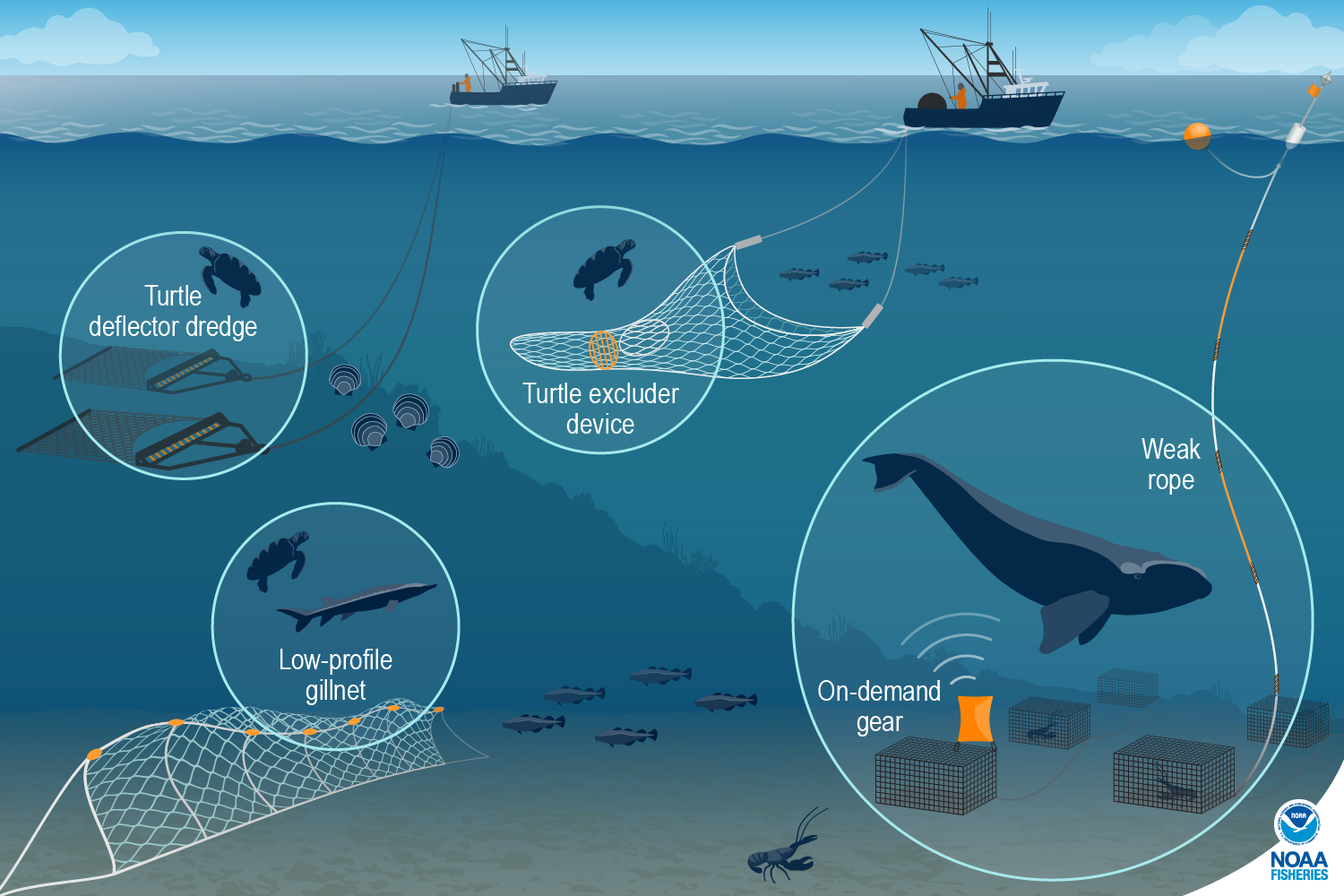 How innovative fishing gear will help clean the ocean