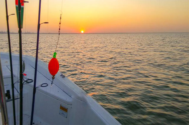 Top 10 Activities for Saltwater Anglers This National Fishing and Boating  Week
