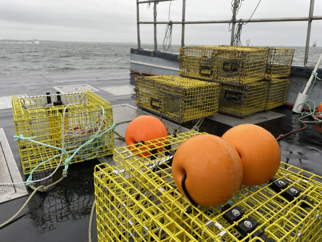 NOAA lays out plans for expanded testing of ropeless fishing technology