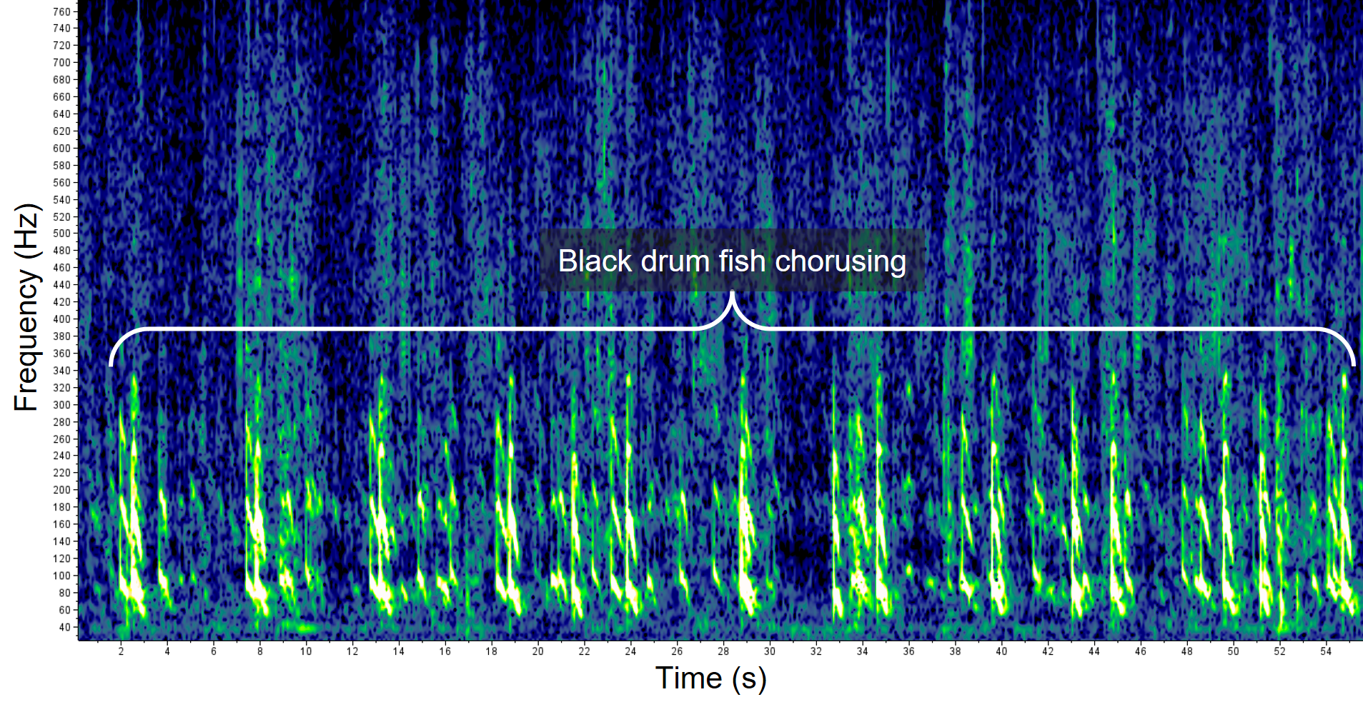 Akustik for fisk og hvirvelløse dyr | NOAAAkustik for fisk og hvirvelløse dyr | NOAA  