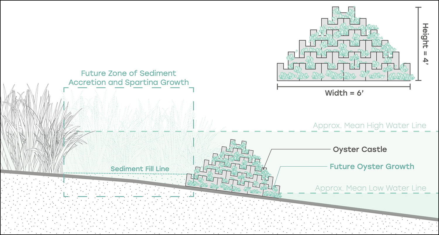 Illustration of how a living shoreline made of oyster castles works. (Photo: Robinson Design Engineers)