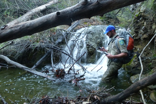 Dereka Chargualaf, Fish Biologist