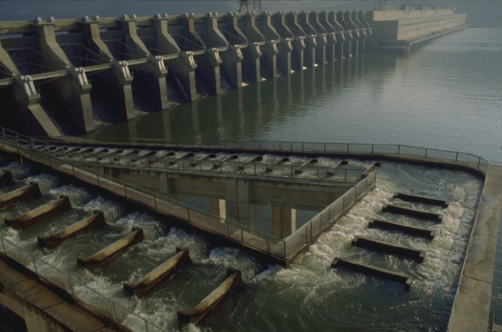 Improving Fish Migration at Hydropower Dams