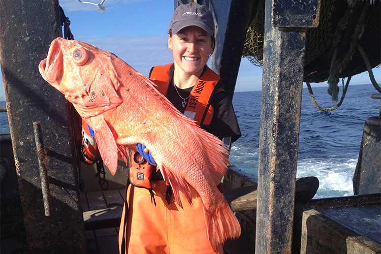 NOAA Fisheries Reminds Reef Fish Fishermen of DESCEND Act