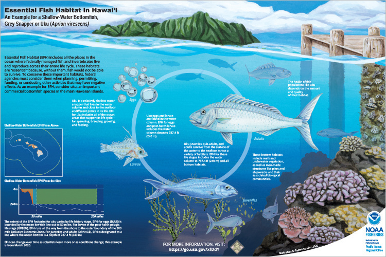 How to Create Fish Habitat