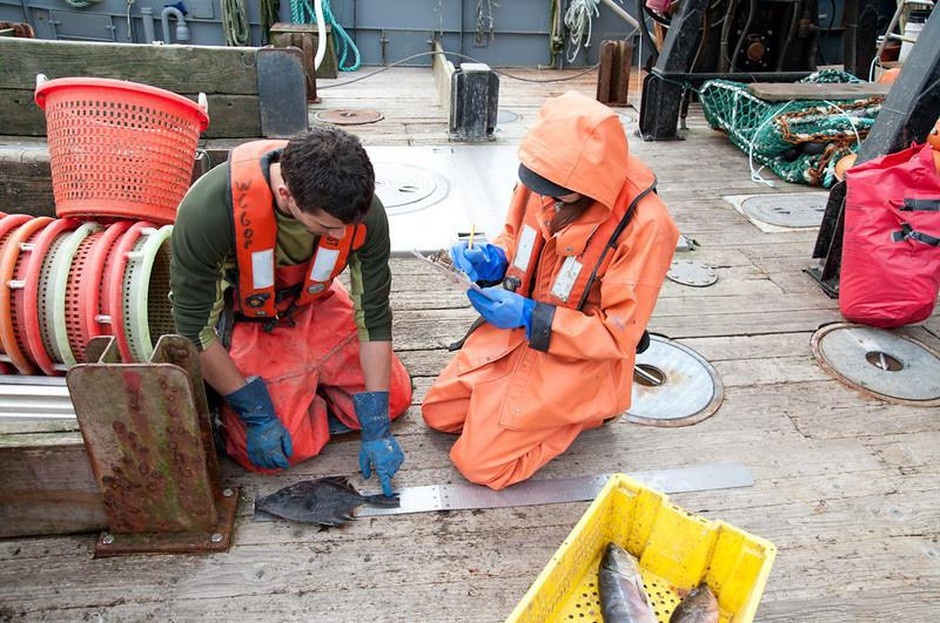 Image: Keeping Fishery Observers Safe from Harassment