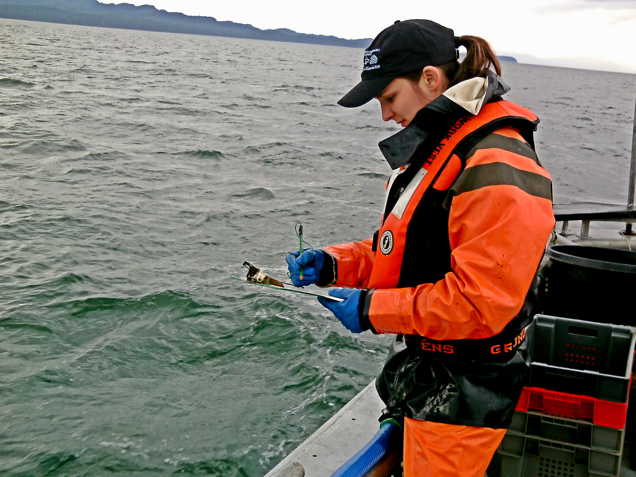 AK: Citizen Scientists Deploy 'Bat Mobiles' in Southeast - Alaska Public  Media