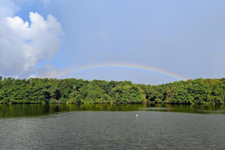 An expanse of water with lush green trees at the horizon in the background. A rainbow arches over the trees.