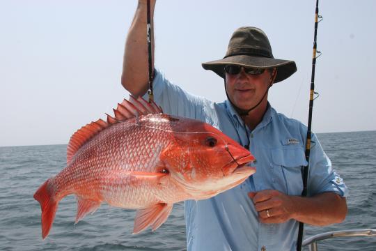 Gulf Reef Fish Anglers: Help Reef Fish Survive Release with Free Gear