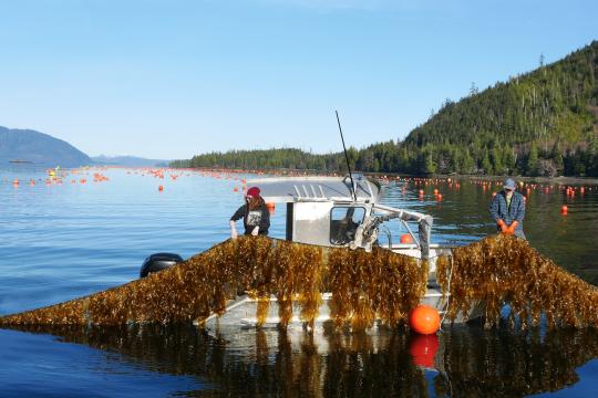 Shrinking Worm Harvest Upsets Sports Fishing Business