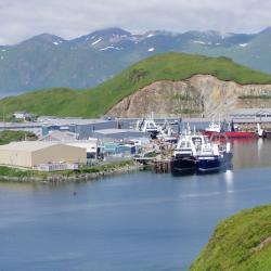 NOAA says status report shows U.S. fisheries 'on track' with