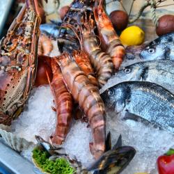 Seafood Consumers: Information on Buying, Preparing, and Eating Seafood