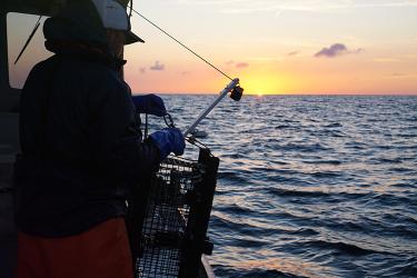 Going Fishing - General Fishing - Fishing Nets Inventory