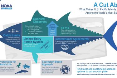 Infographic: A Cut Above detailing what makes U.S. Pacific Islands Fisheries among the world's most sustainable. 