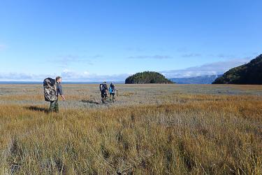 Scientists walking into a field with large backpacks