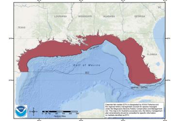 map-reef-fish-EFH-GoMex-SERO.jpg