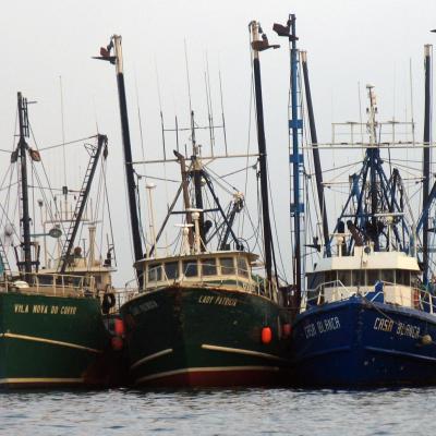 International and Regional Fisheries Management Organizations