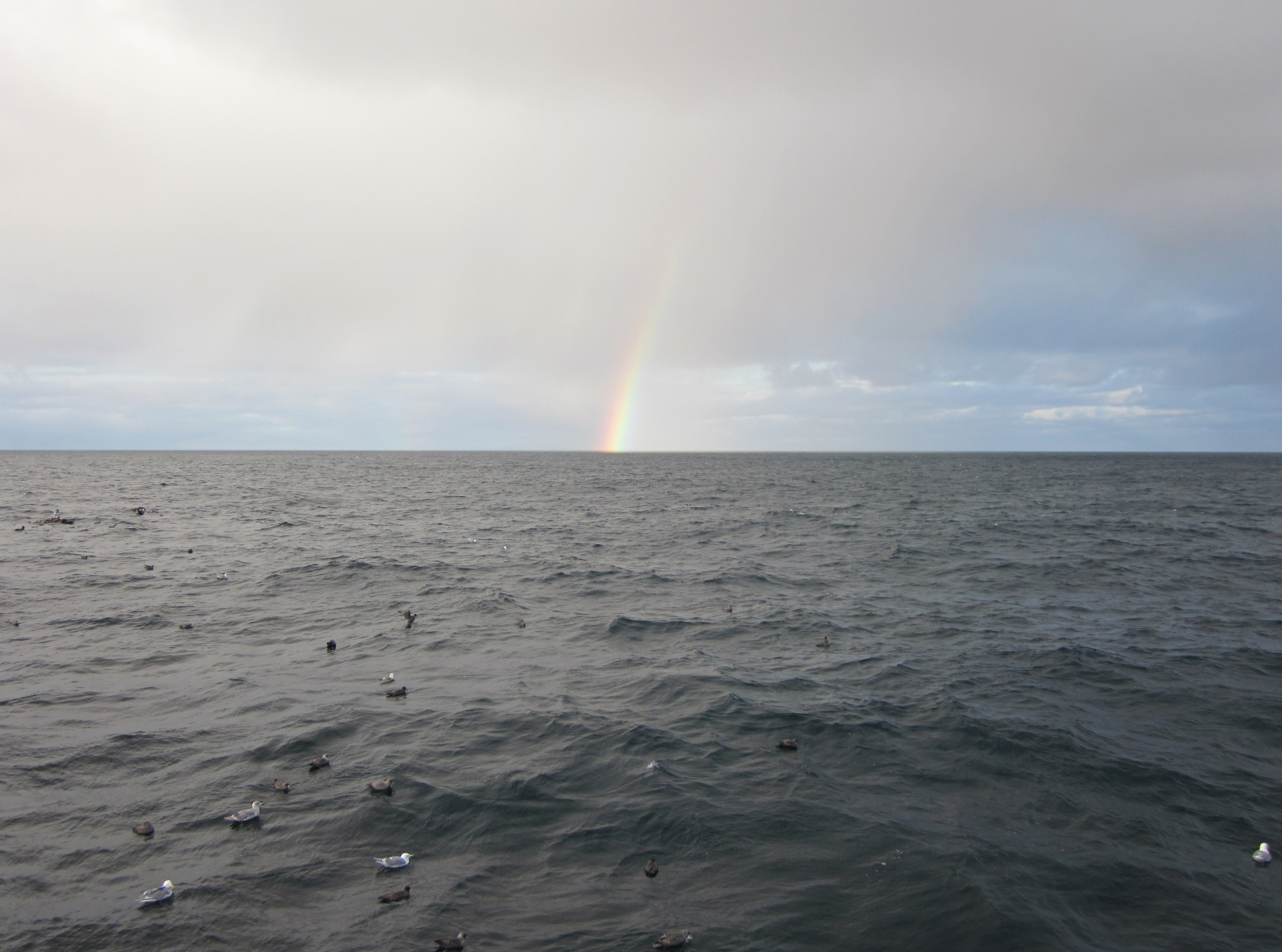 Bering Sea – NOAA Teacher at Sea Blog