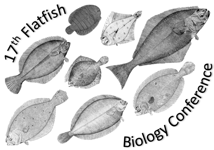 flatfish