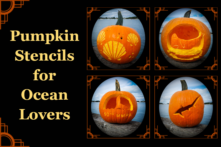 pumpkin carving stencil