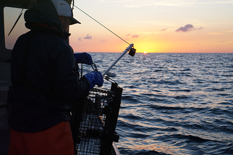 Gulf of Maine Bottom Longline Survey