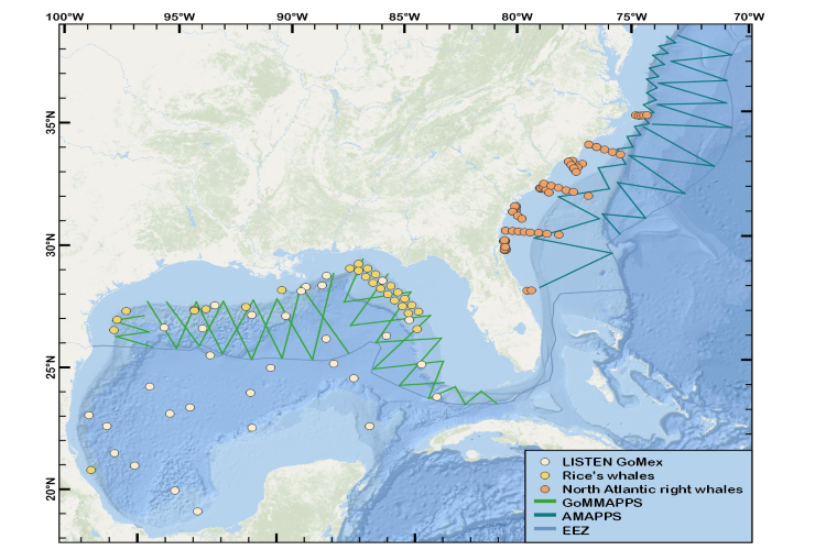 Passive Acoustic Monitoring In The Southeast United States | NOAA Fisheries