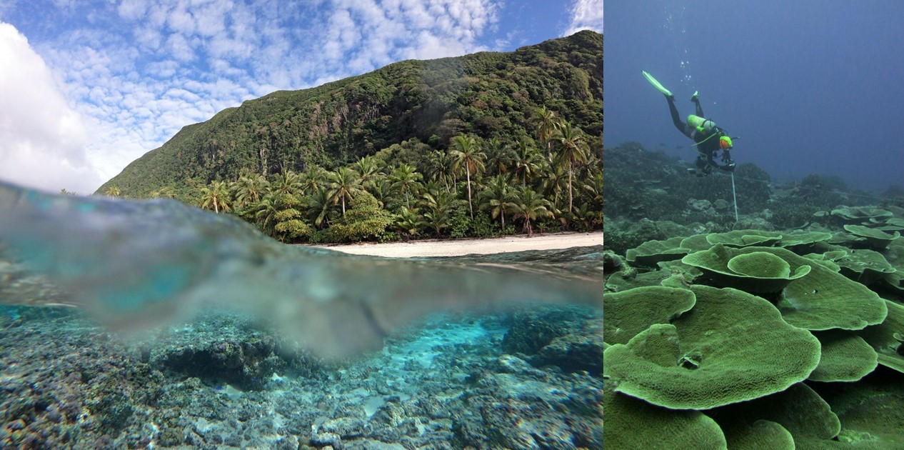 Reef Assessment and Mapping Mission to the Central Pacific | NOAA Fisheries