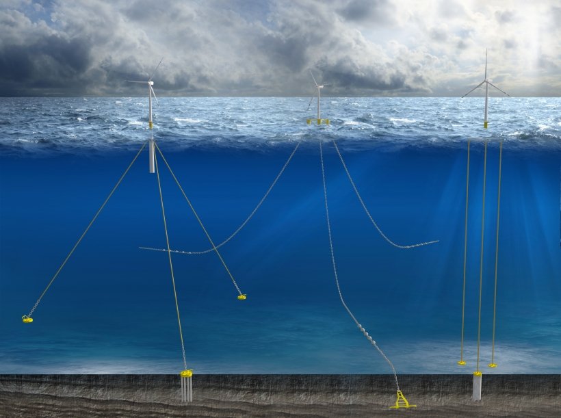 Offshore Wind Mitigation Science | NOAA Fisheries