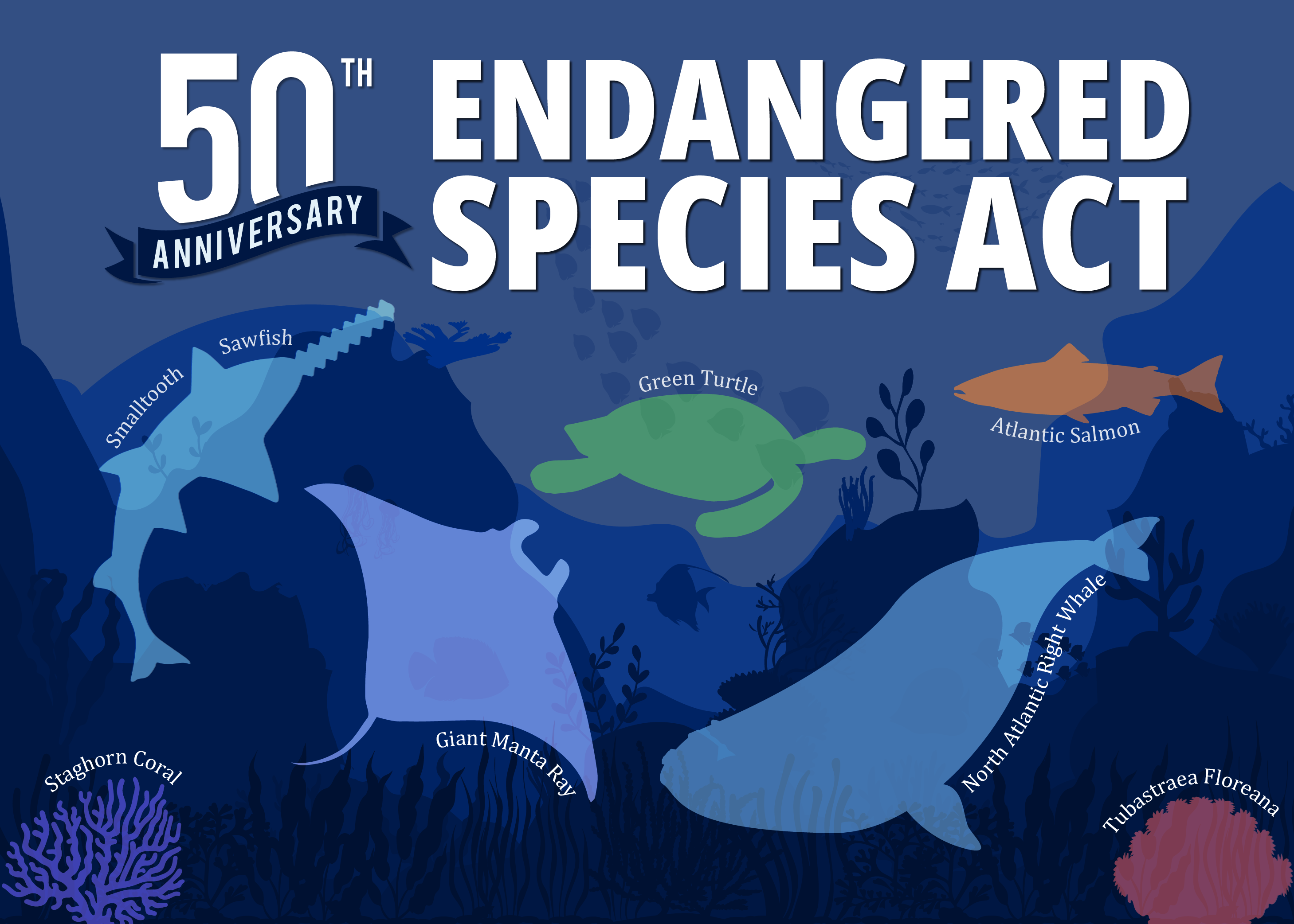 most endangered animals in the world