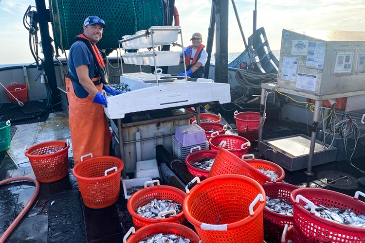 https://www.fisheries.noaa.gov/s3/2023-06/750x500-restrictor-rope-study-fish-processing-nefsc.jpg