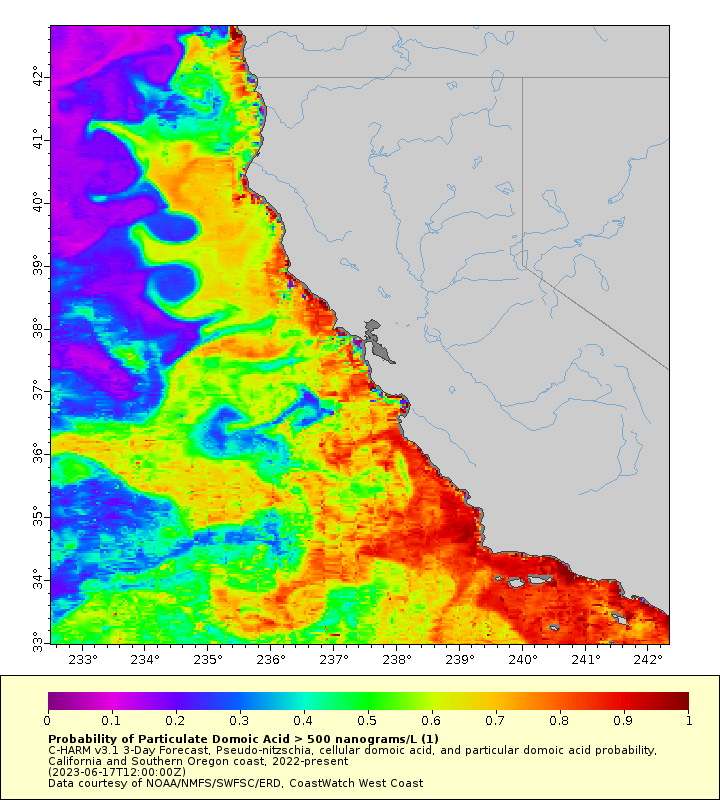 Toxic Algal Bloom Suspected in Dolphin and Sea Lion Deaths in Southern