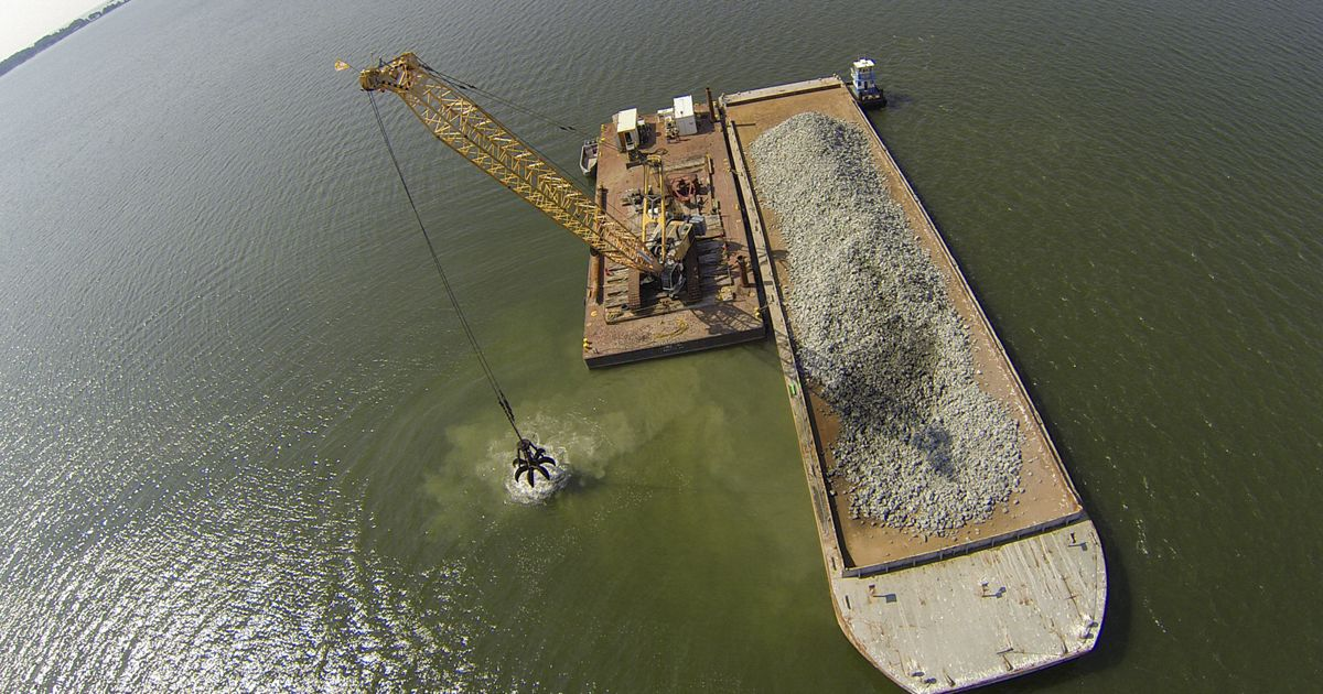 Chesapeake Bay Oyster Reef Restoration Acreage Surpasses 2 Square Miles ...