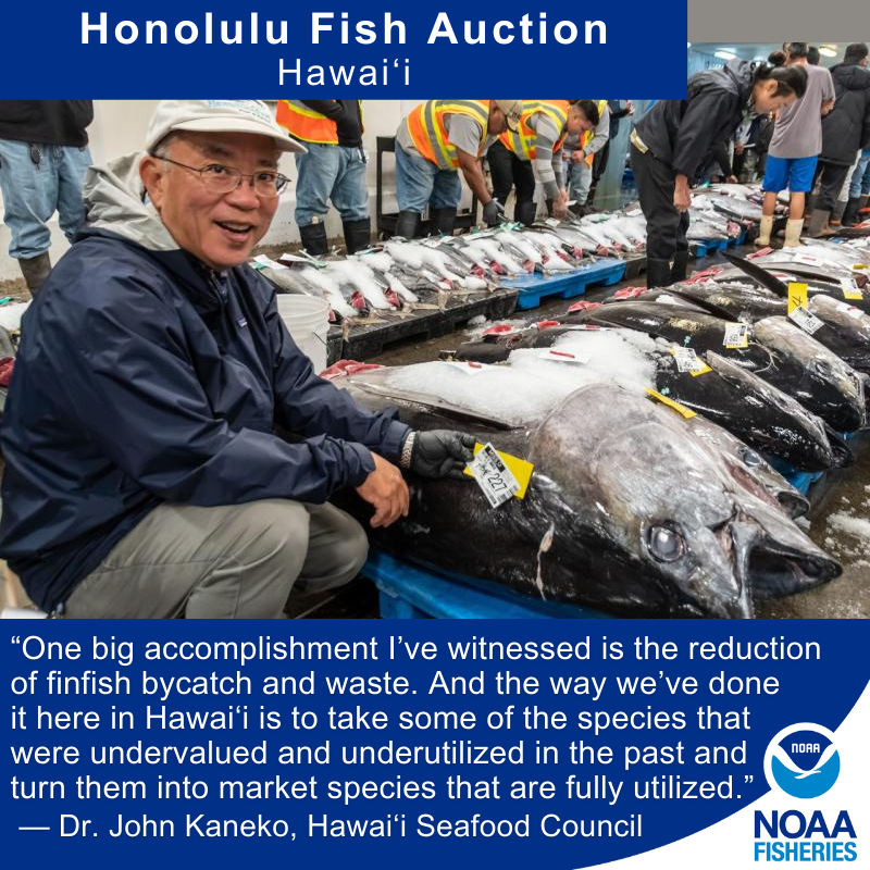 https://www.fisheries.noaa.gov/s3/2023-10/Kaneko-card.png