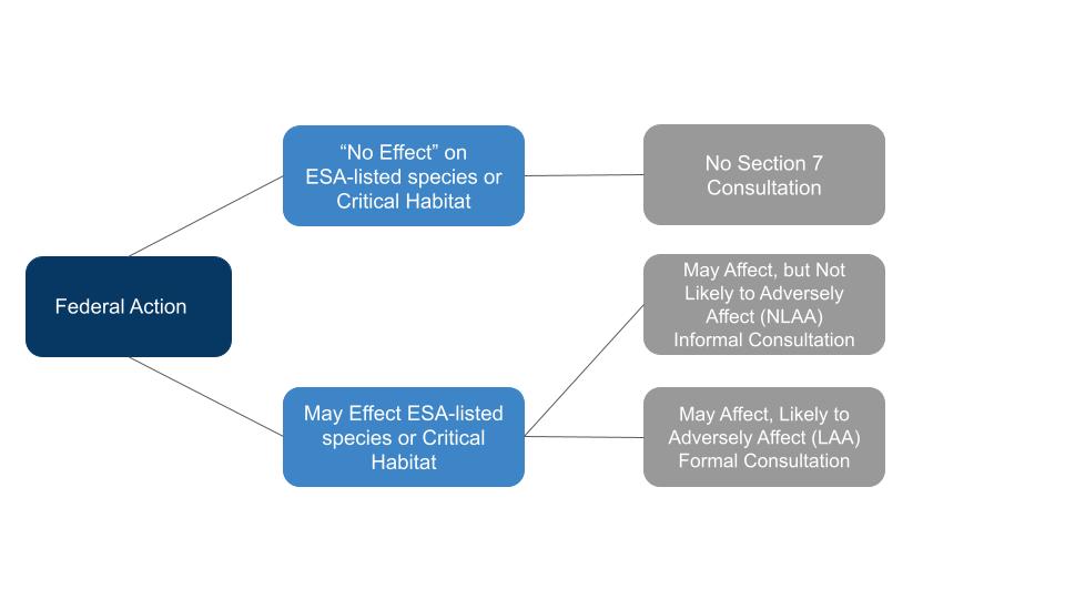 Flow chart for the GIS spatial analysis of marine habitat use of