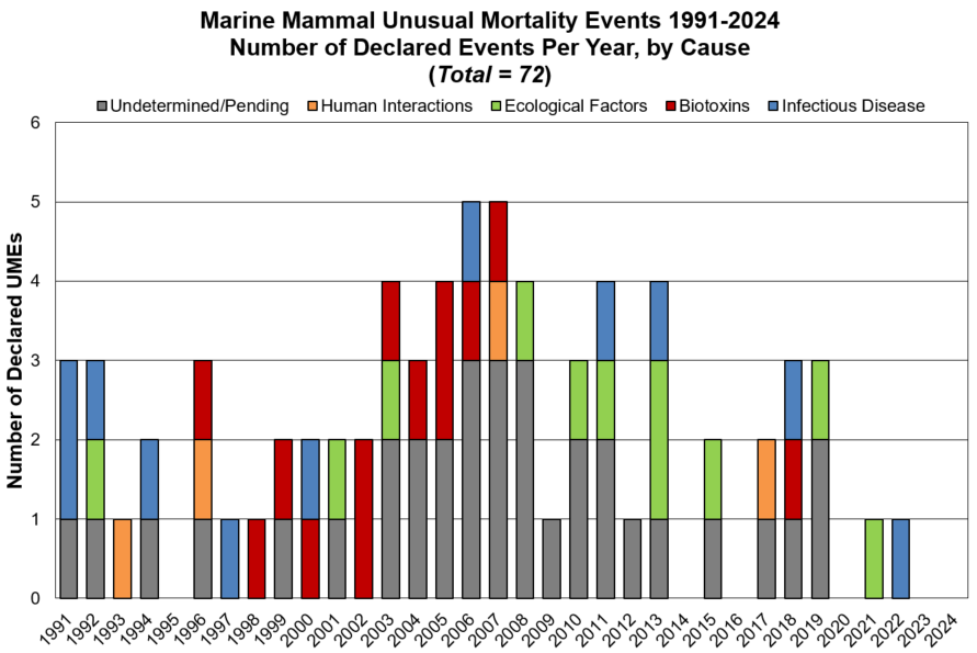 Marine Mammal Unusual Mortality Events | NOAA Fisheries