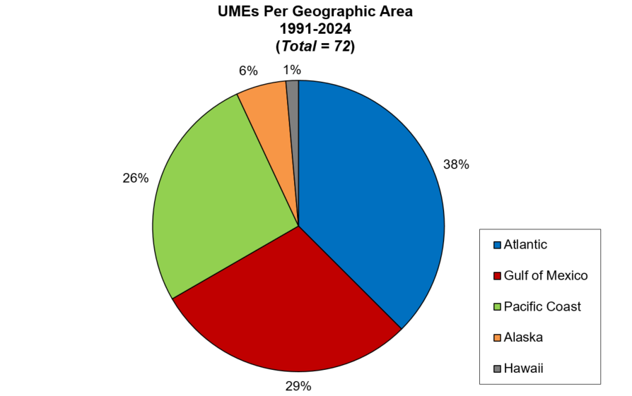 Marine Mammal Unusual Mortality Events | NOAA Fisheries