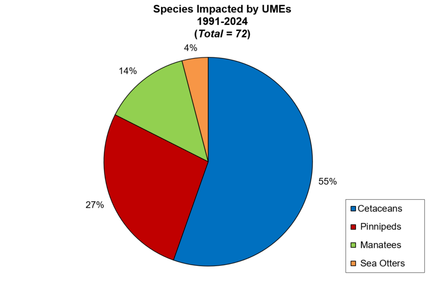 Marine Mammal Unusual Mortality Events | NOAA Fisheries