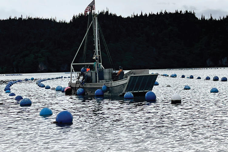 NOAA And State Of Alaska Release Summary Report For Aquaculture ...