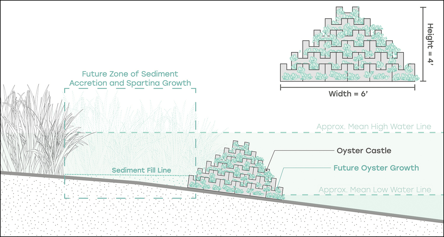 Ambitious Living Shoreline Project Combats Coastal Land Loss in South ...