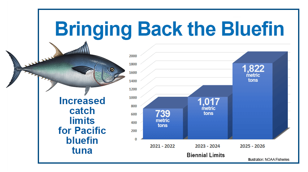 More U.S.-Caught Pacific Bluefin Tuna to Hit U.S. Markets Next Year ...