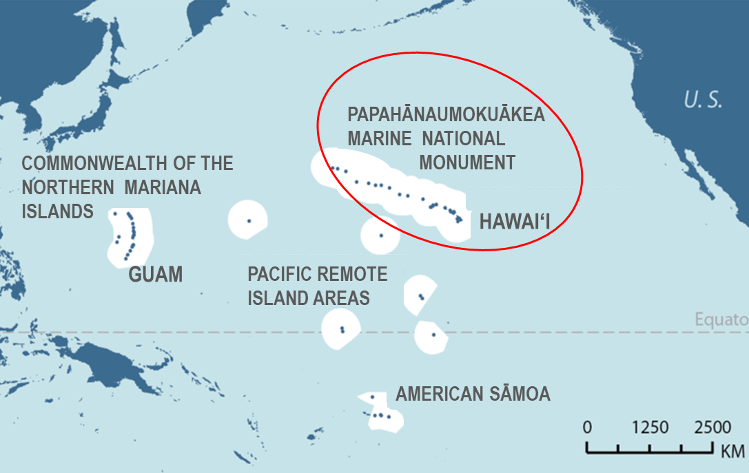 Hawai‘i Coral Reef Assessments Complete for 2024 NOAA Fisheries