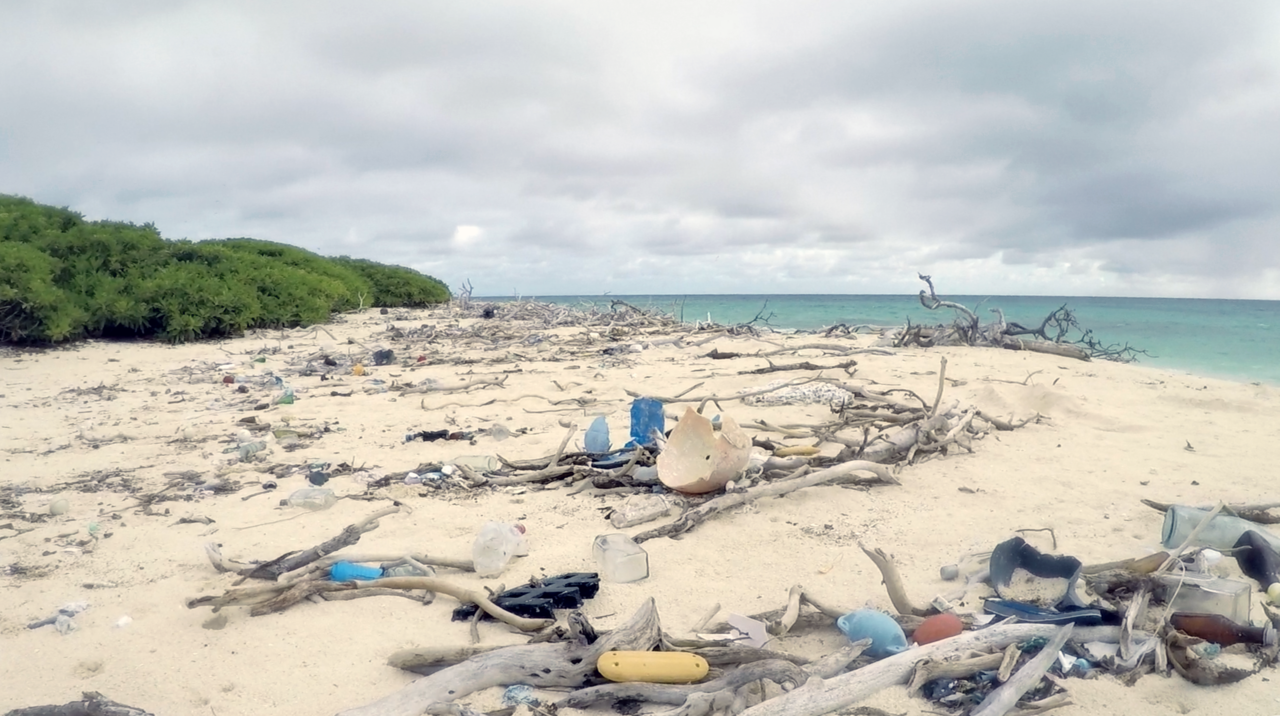 Imua! Going Forward Island by Island to Clean Marine Debris | NOAA ...