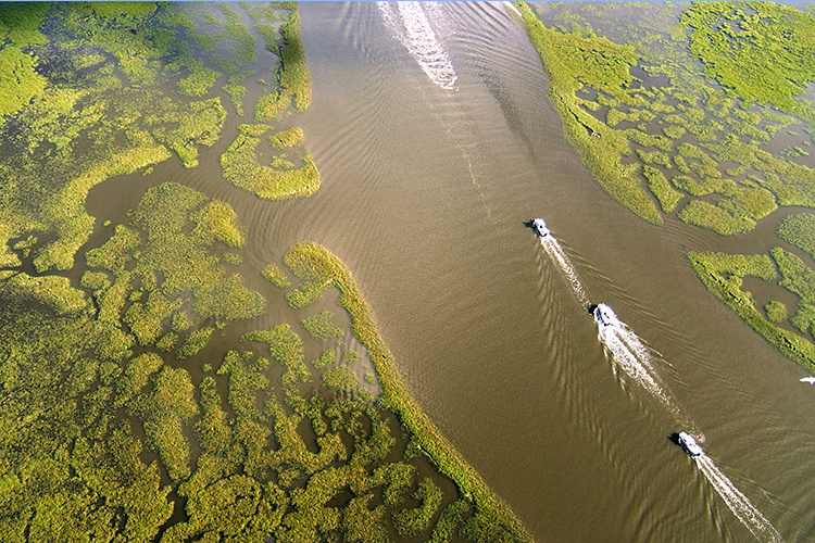 $24.8 Million Awarded to Restore Coastal Wetlands in Louisiana | NOAA ...