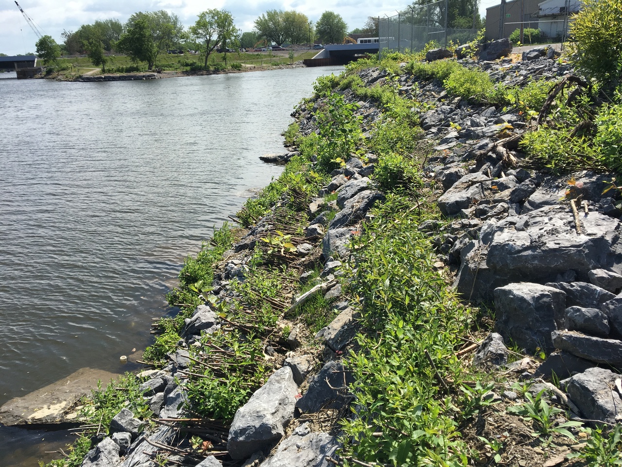 Buffalo River Habitat Restoration | NOAA Fisheries