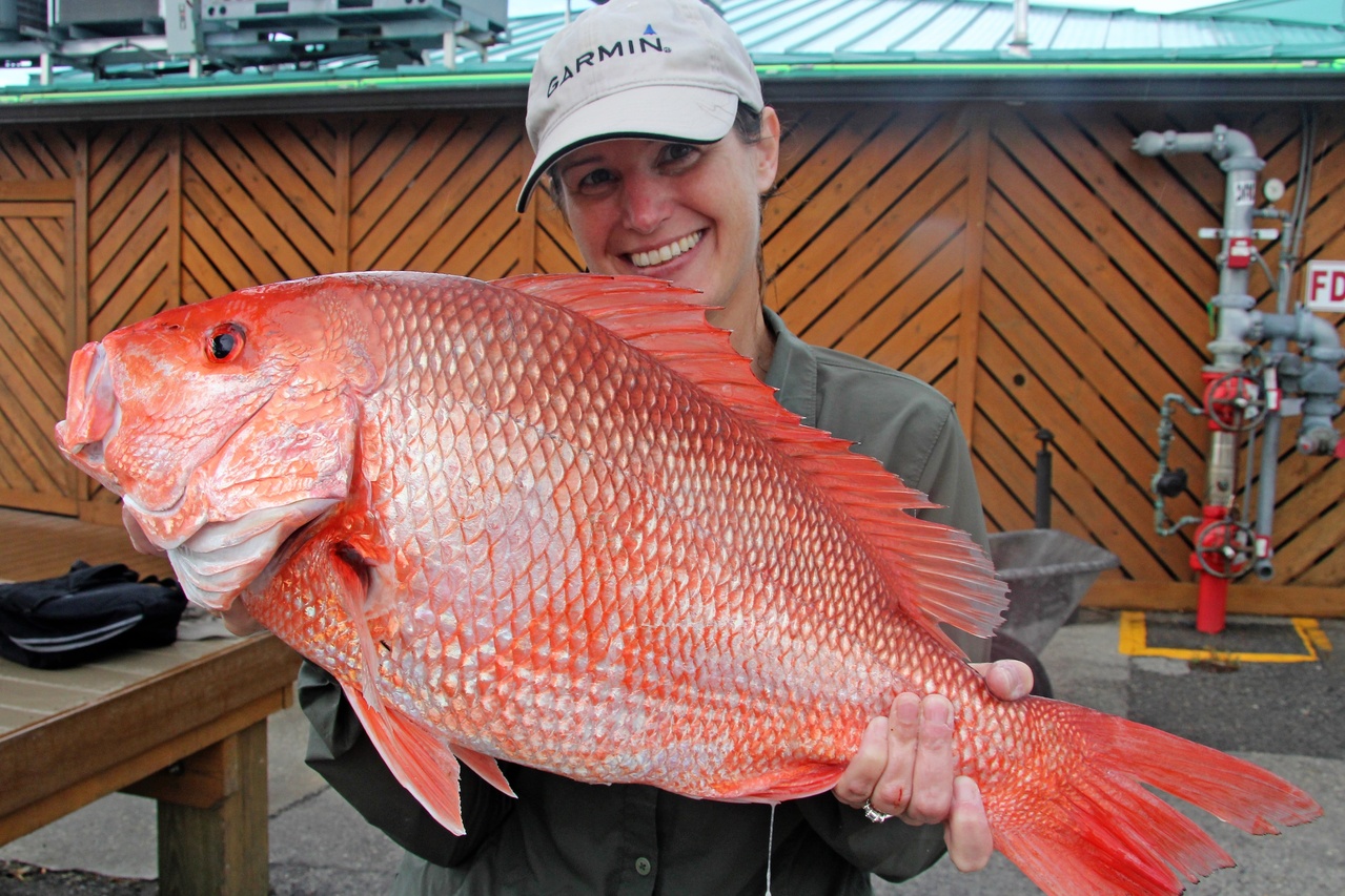 Red Snapper | Fisheries