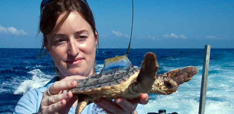 Secret Route of Sea Turtles Revealed for First Time | NOAA Fisheries